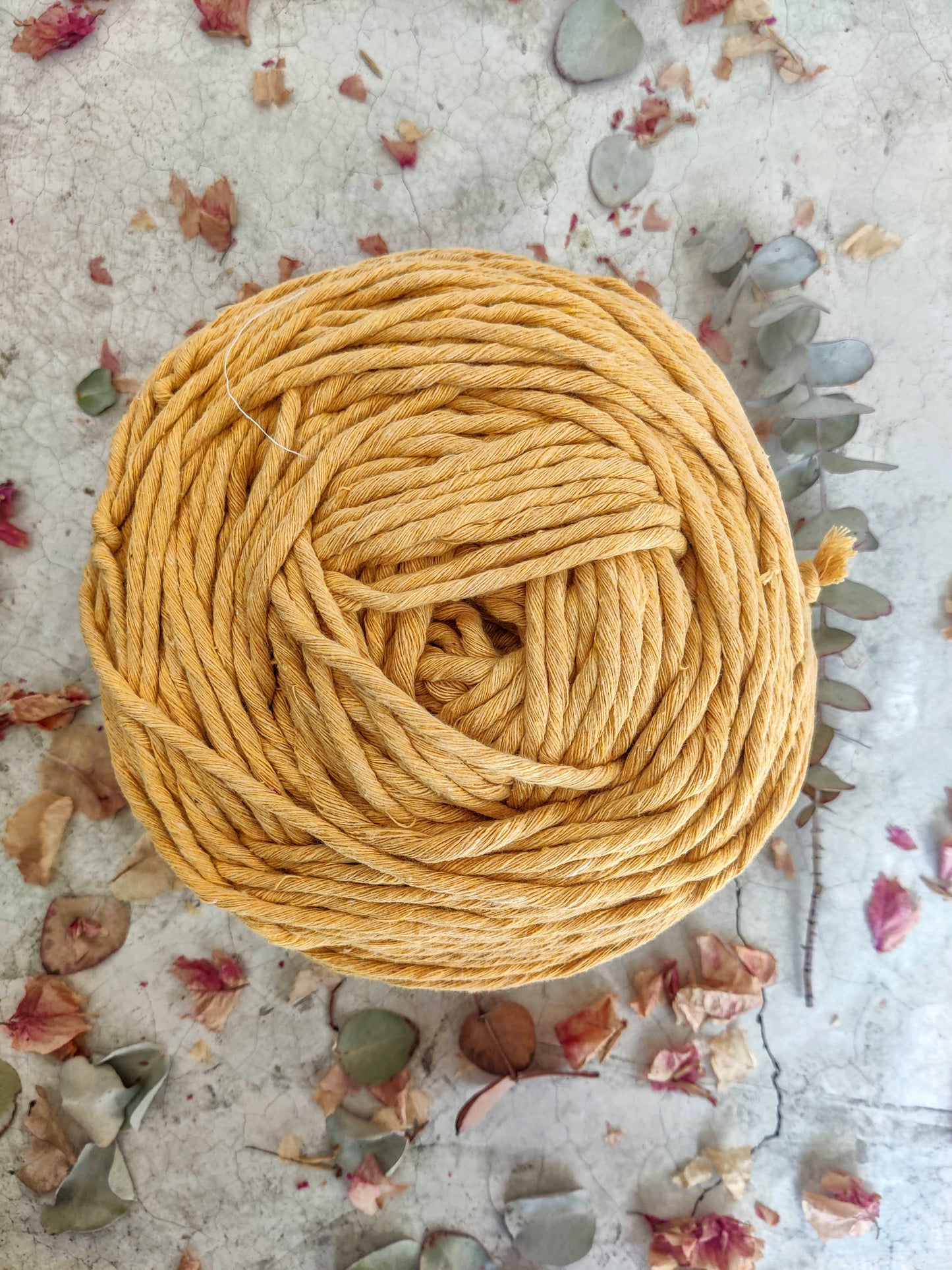 Hilaza amarillo mostaza 3-4mm 1kg